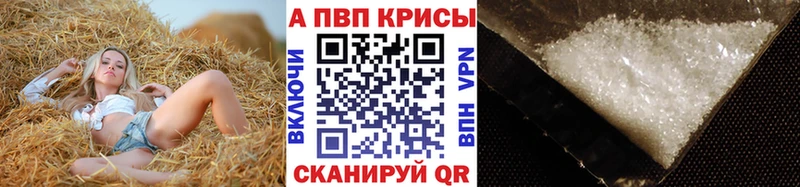 Купить где  Сургут  Альфа ПВП СК КРИС 