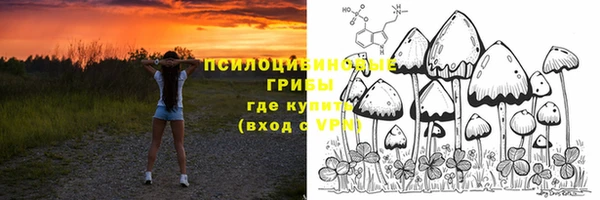 прущая мука Киренск