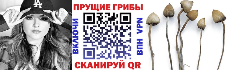 Псилоцибиновые грибы прущие грибы  Купить  Сургут 